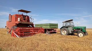 Żniwa 2022!🌾🚜 Koszenie pszenżyta i pszenicy. Bizon Z056  Zetor 5211 Ursus 4011.🙂