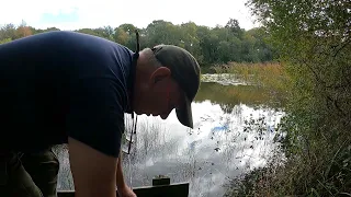 PERCH FISHING WITH LIVE BAITS