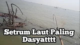 Setrum ikan khusus laut/muara 3travo