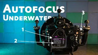 Autofocus for Underwater Photographers