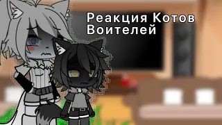 -Реакция Котов Воителей:@Pixie_Bullseye