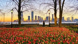 NYC LIVE Downtown Manhattan, Battery Park City & Battery Park + Amazing Sunset (April 20, 2022)