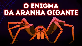 Resolva o enigma da aranha e prove que você é mais inteligente do que a maioria