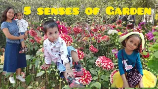 Tara ikot KO kayo sa 5 Senses Garden || Mrs Roy Life in India