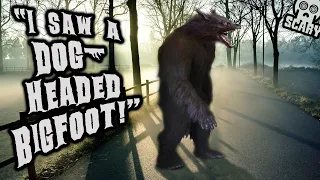 "I Played Fetch with DOGMAN!" + Dog-Headed Bigfoot!