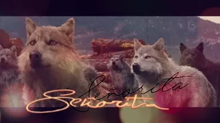Twilight Wolves - Señorita