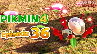 Olimar's Shipwreck Tale Ending! - Pikmin 4 Nintendo Switch Gameplay Walkthrough Part 36