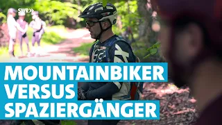 Illegale Mountainbike-Trails: Streit im Wald