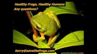 Intro to Amphibian Conservation - SAVE THE FROGS! Academy