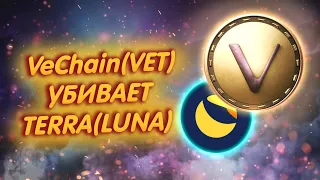 VeChain (VET) ПЕРЕМАНИВАЕТ РАЗРАБОТЧИКОВ TERRA (LUNA) К СЕБЕ!/ ВиЧейн ТЕРЯЕТ ДОВЕРИЕ ДЕРЖАТЕЛЕЙ!