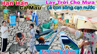 Cảnh khổ Cà Mau Hạn Hán, ròng rã chờ mưa, cả con sông cạn sạch nước