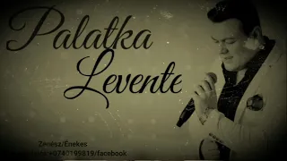 Palatka Levente - Kicsi tulipán (live)(cover) (pál dénes)