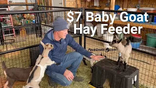 2 Quick Tips Raising Baby Goats