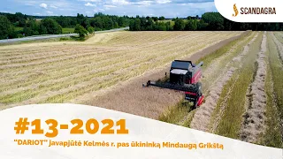 #13–2021. DARIOT javapjūtė Kelmės r. pas ūkininką M. Grikštą