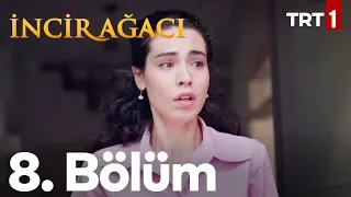 İncir Ağacı 8. Bölüm