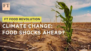 Can we avoid climate-related food shocks? | FT Food Revolution