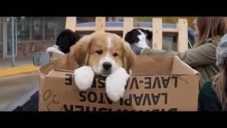 A Dog's Purpose Official Trailer 1  Dennis Quaid Movie 2017