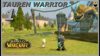 Let's Play World of Warcraft - TBC Classic - Warrior - Road to Wrath of the Lich King - Part 1