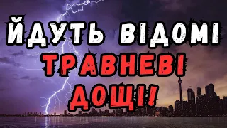 Синоптик про погоду в Україні: побільшає дощів та гроз