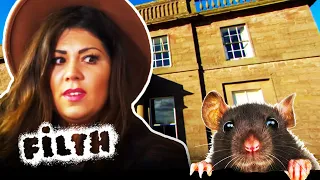 OCD Cleaner Find Mouse Droppings On BED | Obsessive Compulsive Cleaners Country House Rescue | Filth