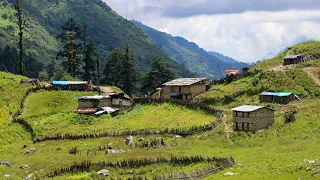 Beautiful Nepali Mountain Village life of Nepal | Most peaceful vs relaxing  life | TheVillageNepal