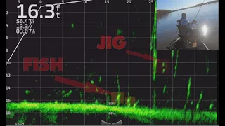 LiveScope - Understanding What's On The Screen!  How to see the Jig vs. the Fish on Livescope