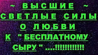 ✔ *АрхиСРОЧНО* «Cветлые Силы о Любви к БЕСПЛАТНОМУ СЫРУ !»