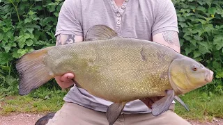 how to target tench on the float at first light....