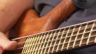 The Warwick Thumb Bolt-On 5-String - Product Demo with Andy Irvine