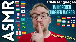 ASMR Whispered Trigger Words in 20+ languages [WHISPERS ONLY! 🤫 & Face brushing 🖌️]