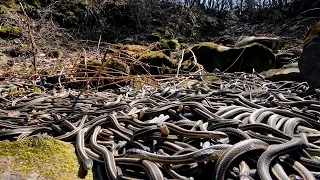 Одно из самых опасных мест на Земле остров Кеймада-Гранди