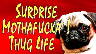 Surprise Mothafucka! - Thug Life Compilation (The Very Best)