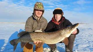 2 Huge Pike in One Day! (PB's) | Chasing Big Pike in Southern Alberta