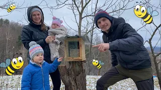 Kupiliśmy pszczoły murarki i robimy im domek! - wszystko o pszczołach murarkach.