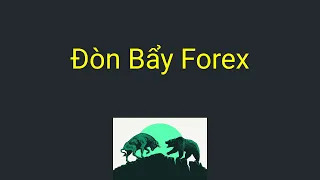 Forex | Đòn bẩy trong forex là gì - Có nên dùng đòn bẩy hay không - Ưu và nhược điểm của đòn bẩy