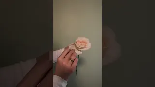 Самый простой способ вывернуть розу