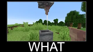 Minecraft realistic wait what meme, Lava, Water, Slime #219