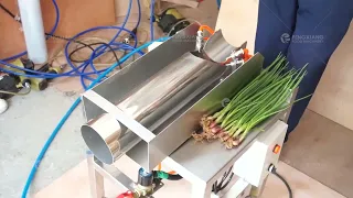 High Efficient Green Onion Skin Peeling Scallion Peeling Machine