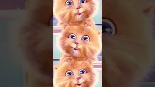 #cat #shorts  #talking #talkingtom #tom #trending #rek #catvideos