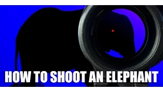 How to Shoot an Elephant