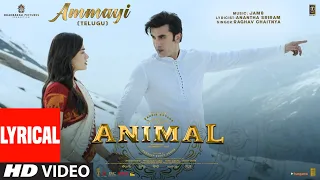 ANIMAL: Ammayi (Lyrical Video) | Ranbir Kapoor,Rashmika M | Raghav, Pritam Anantha | Sandeep Reddy V