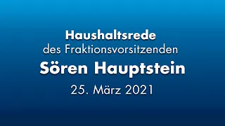 Haushaltsrede des Fraktionsvorsitzenden Sören Hauptstein I AfD-Stadtratsfraktion Hannover