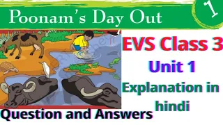Question and Answers | Poonam's Day Out | Unit 1 | EVS Class 3 | NCERT LOOKING AROUND CBSE IN HINDI