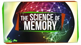 5 Videos on the Science of Memory