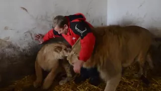 ЛОЛА и МАРСЕЛЬ в зимнем вольере