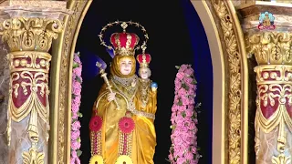 Vailankanni Shrine Basilica Live Stream