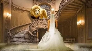 Die größte Liebesgeschichte aller Zeiten ➤ Die Braut des Königs