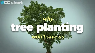 Why Tree Planting Won't Save Us #shorts