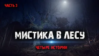 Мистика в лесу (4в1) Выпуск №3.