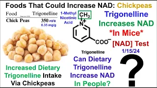 Foods That Could Increase NAD: Chickpeas